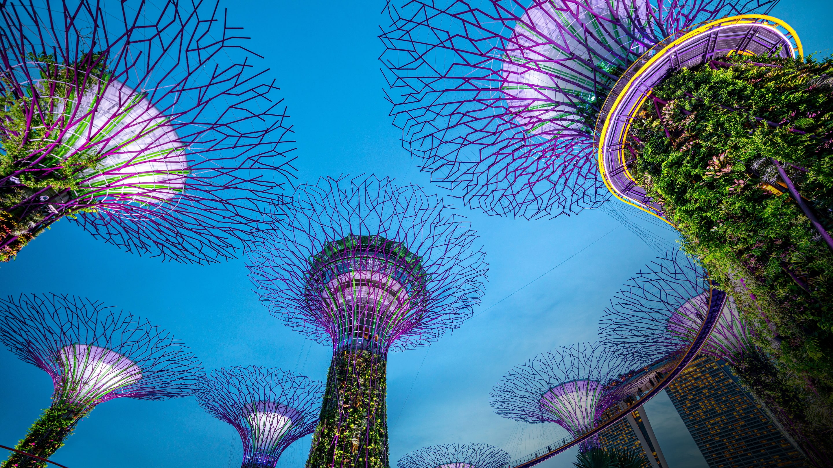 Gardens by the bay